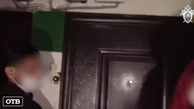 На Среднем Урале у женщины украли и продали годовалого сына