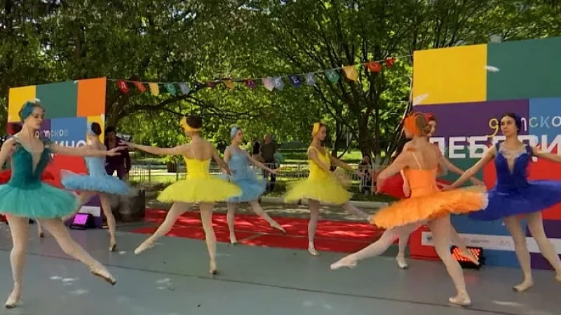 Лебединое озеро развернулось под окнами Областной детской больницы