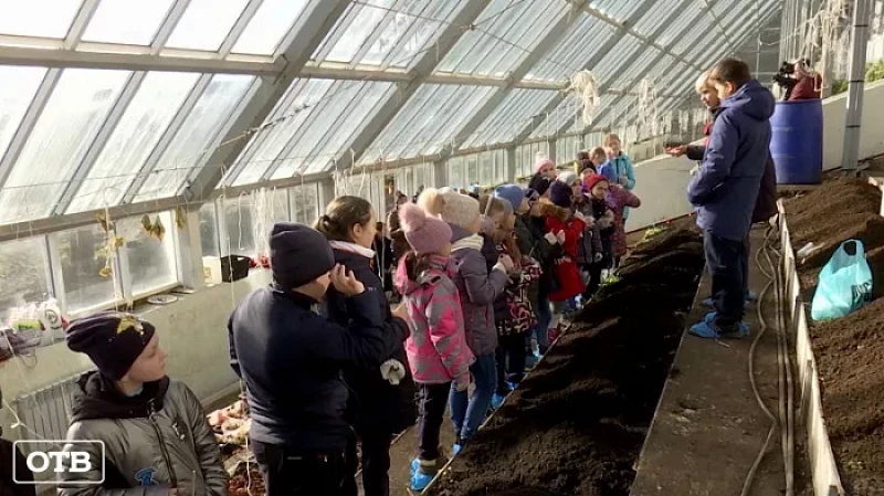 В свердловских школах активно открывают профильные агроклассы