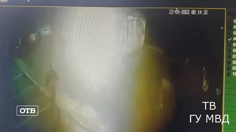 В парике и накладными усами: полиция Екатеринбурга задержала гражданку США по подозрению в поджоге Lexus