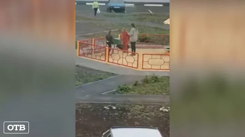 В Каменске-Уральском полиция разыскивает девочек, которые зверски издевались над голубем