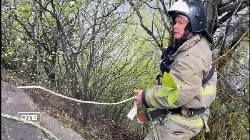 В погоне за контентом: дамы с собачкой сорвались со смотровой площадки в Кушве