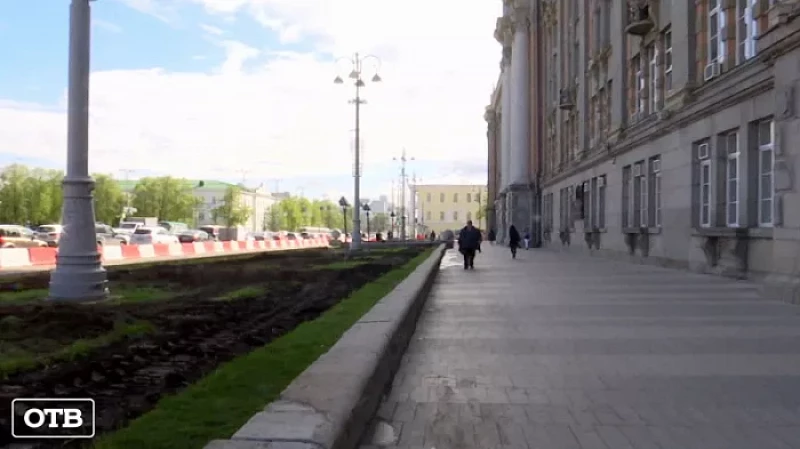 Спустя 30 лет возле здания администрации Екатеринбурга срубили голубые ели