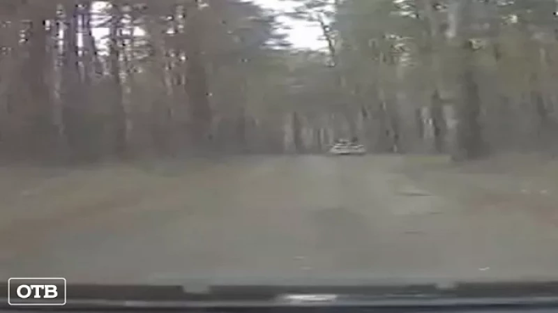 За поджог леса на Чусовском тракте жителю Екатеринбурга грозит до 8 лет тюрьмы