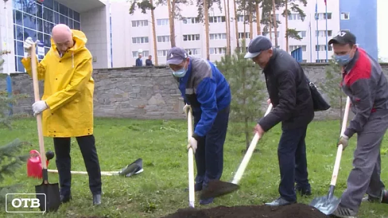 У областной клинической больницы появилась аллея в благодарность донорам