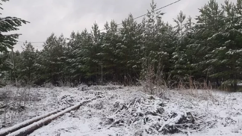 Жителей Свердловской области предупредили о заморозках 7 мая