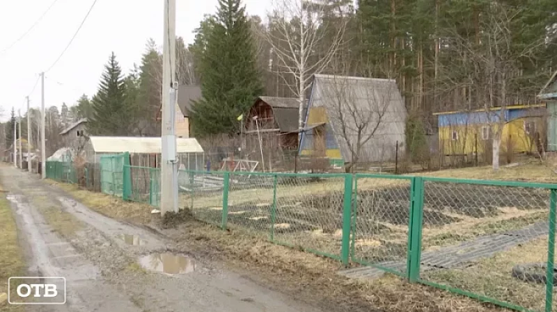 Дачную амнистию продлили на четыре года