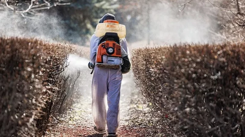 В парках и скверах Екатеринбурга началась акарицидная обработка