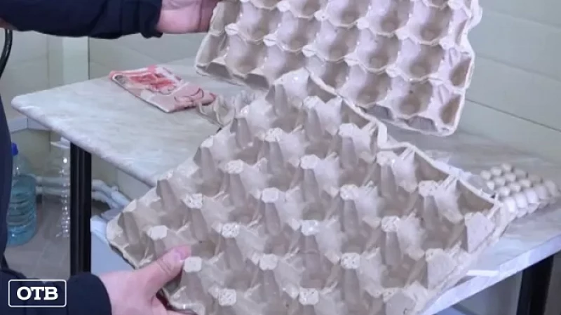 На фоне санкций в Сухом Логу наращивают объёмы производства упаковки из бумажного вторсырья