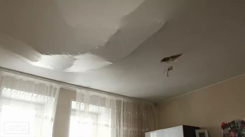 Пузырь на потолке: талый снег топит квартиры жителей дома в Среднеуральске