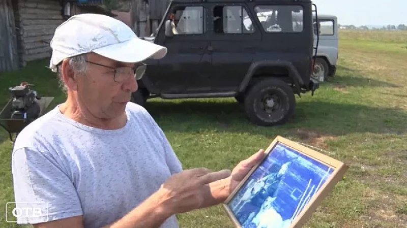 Хозяин двух лаек заплатит за гибель соседских овец и кроликов 90 тысяч рублей