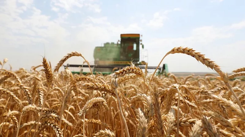 Помощь аграриям Среднего Урала: в эфире ОТВ министр Артём Бахтерев