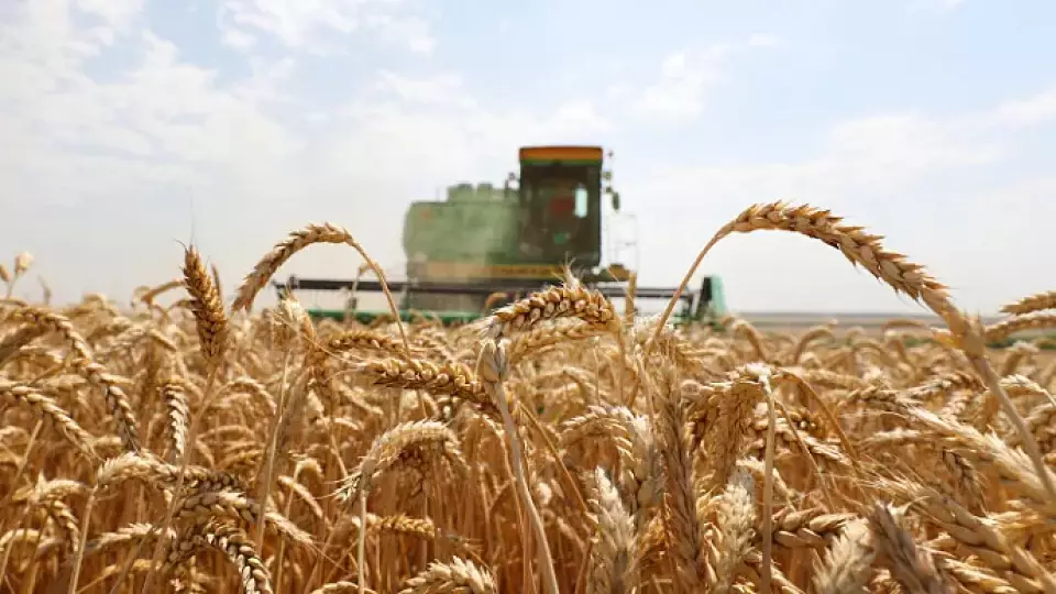 Помощь аграриям Среднего Урала: в эфире ОТВ министр Артём Бахтерев