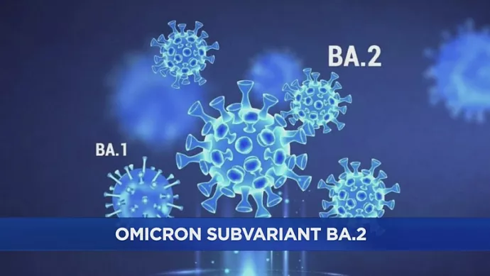 Новый штамм «Стелс-омикрон»: симптомы, признаки, прогнозы