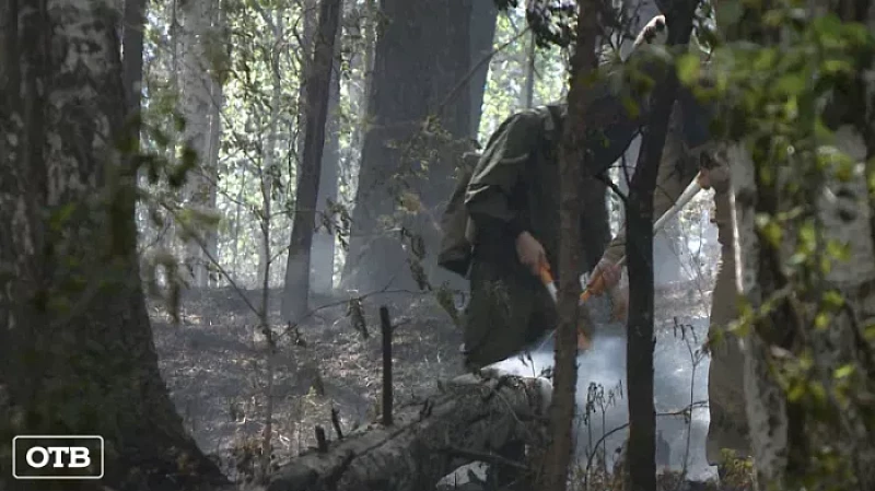 Свердловских волонтёров научат бороться с лесными пожарами