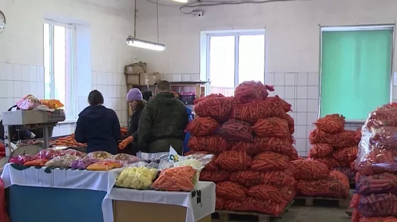 Свердловские сельхозпроизводители получат свыше 4 млрд рублей из федерального и областного бюджетов