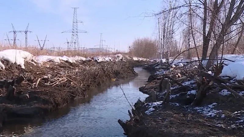 В Новоуральске грызуны строят плотины в промзоне