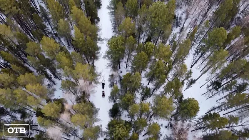 В заповеднике «Денежкин Камень» пересчитают диких животных