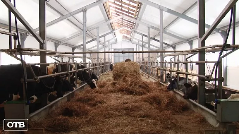 В 2021 году Россельхознадзор оштрафовал уральских предпринимателей на 3 млн рублей