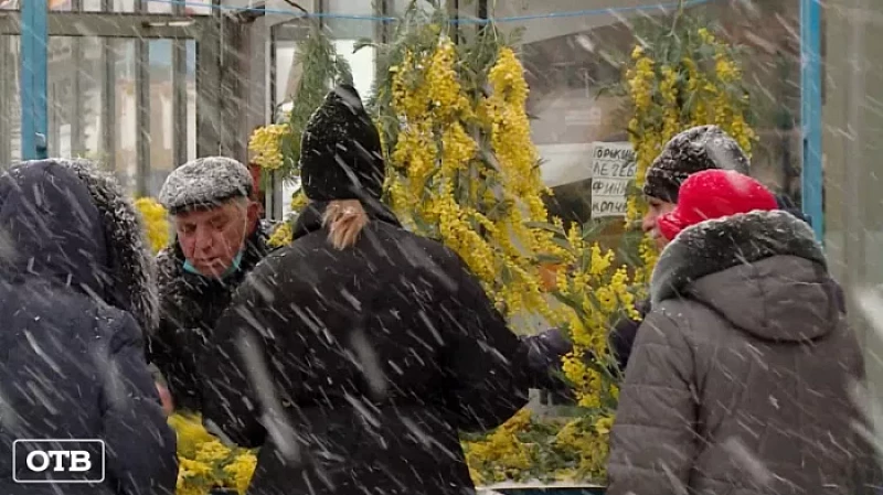 Накануне 8 марта в центре Екатеринбурга впервые откроется цветочный базар