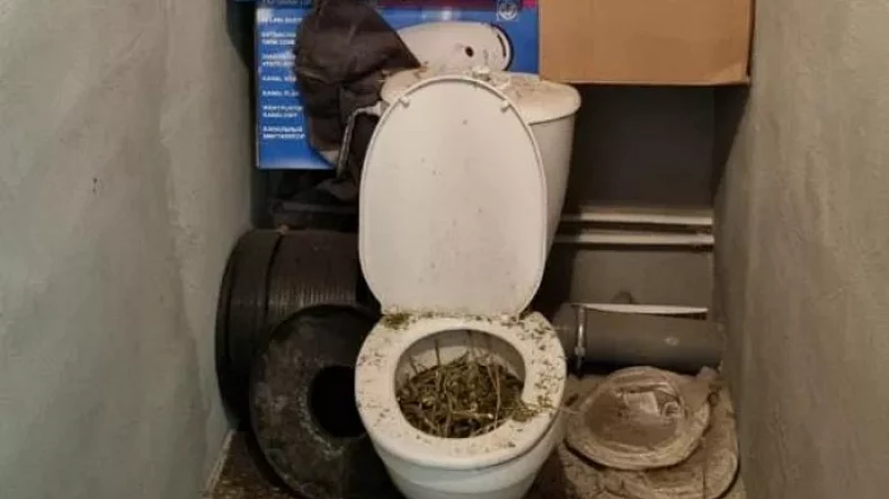 В Екатеринбурге наркодилер пытался смыть в унитазе 16 кг конопли