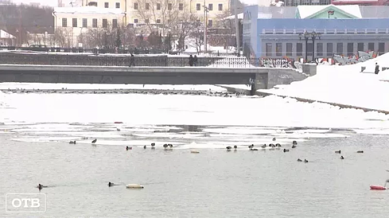 После инцидента на Плотинке сотрудники МЧС напомнили об опасности выхода на лёд