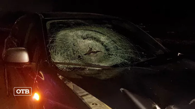 Под Верхней Пышмой на тёмной дороге Mitsubishi насмерть сбил пешехода