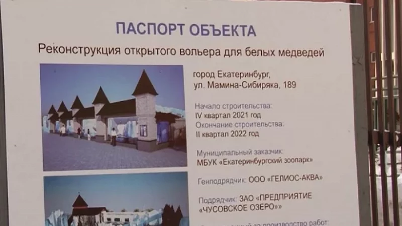 Белая медведица Хатанга и росомаха приедут в Екатеринбург уже этим летом