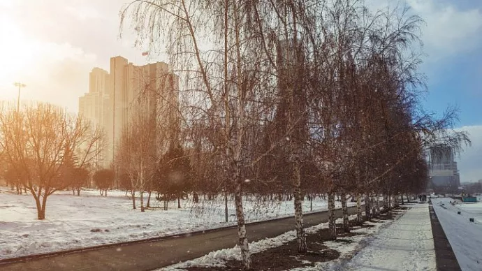 В последние дня января на Среднем Урале удержится умеренно морозная погода