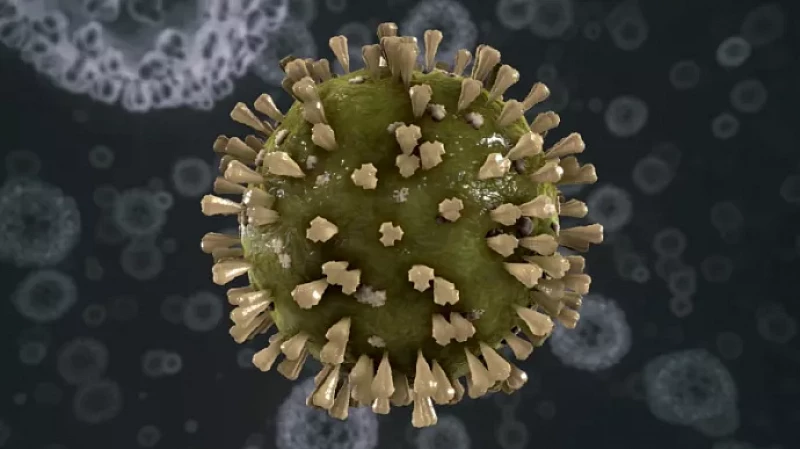 Коронавирус в Свердловской области: пандемия продолжает отступать