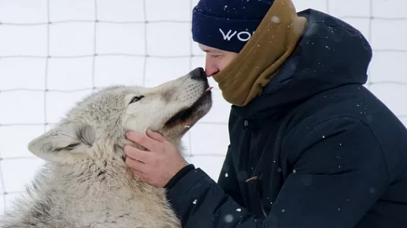 Экокластер по спасению диких животных: губернатор Евгений Куйвашев рассказал о мечте уральца