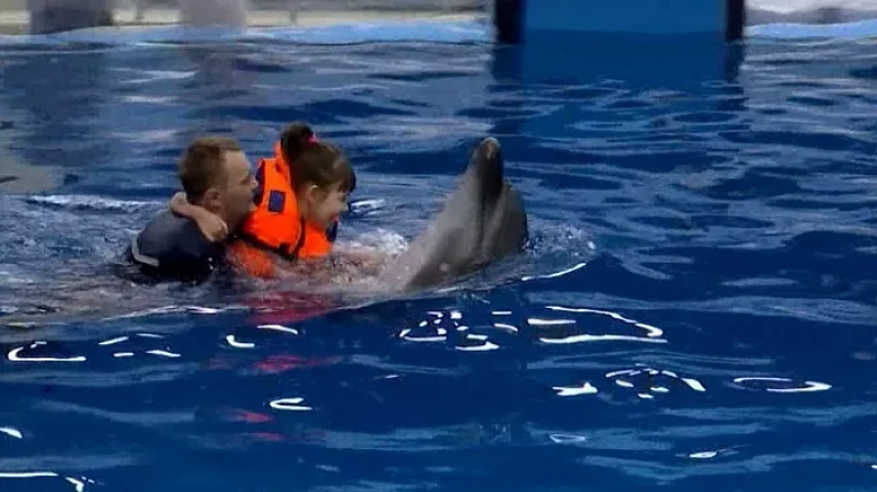 В Екатеринбурге дельфины исполнили мечты особенных детей