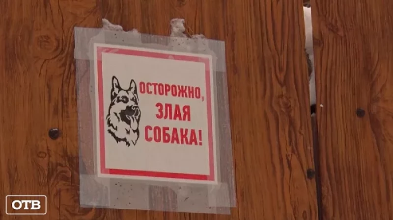 Под Екатеринбургом пенсионерку едва не растерзала среднеазиатская овчарка