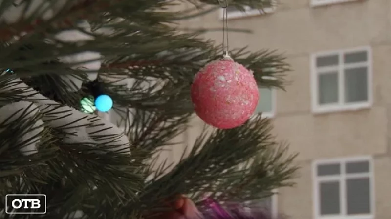 Волонтеры нарядили ели возле ковидных госпиталей