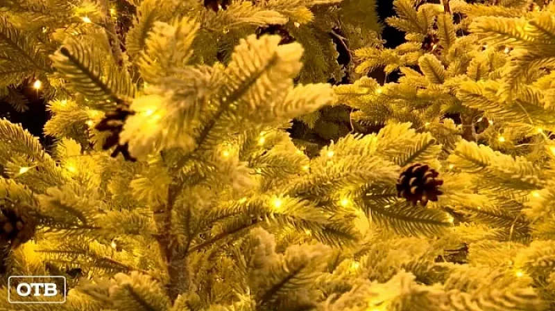 Улицы Екатеринбурга подсветили по дизайнерской концепции