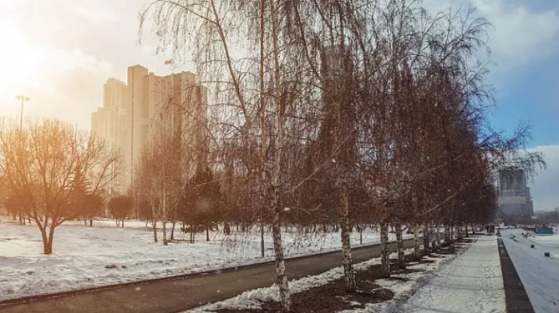 Умеренные морозы: прогноз погоды на Среднем Урале до 15 декабря