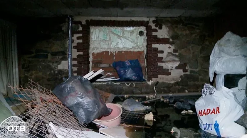 Жильцы дома на ЖБИ в Екатеринбурге стали заложниками блох и клопов