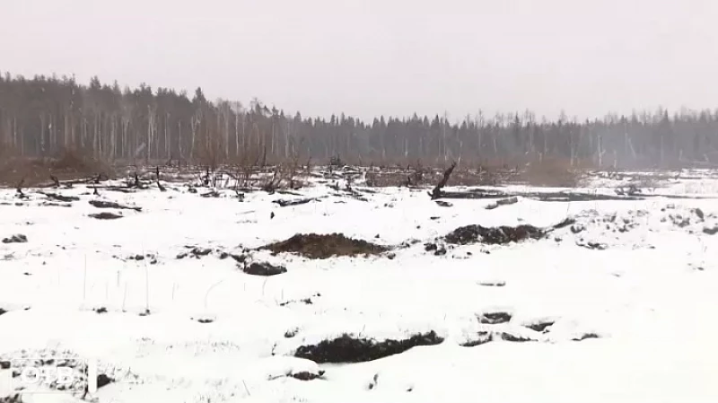 В Старопышминске Гринпис обнаружил многочисленные очаги тления торфа