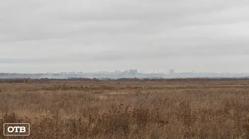 Виновники торфяных пожаров на окраине Екатеринбурга оштрафованы на 115 тыс. рублей