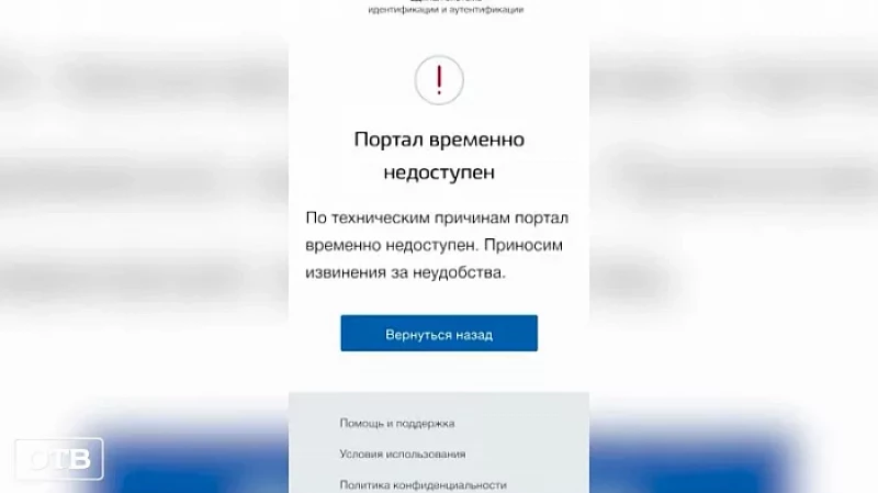 Сбой системы: QR-коды в Свердловской области действительны в течение года