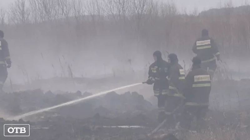 Тушение торфяников: благодарные екатеринбуржцы дарят подарки пожарным