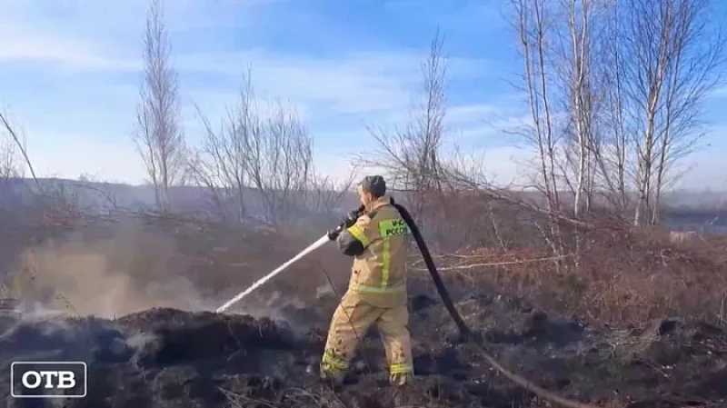 На юге Екатеринбурга уже неделю тушат тлеющий торфяник