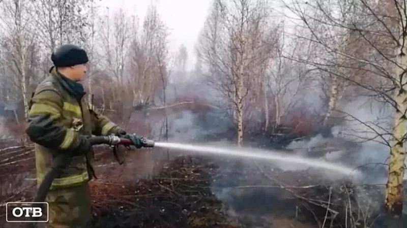 Площадь тления торфяников на юге Екатеринбурга уменьшилась более чем в 20 раз