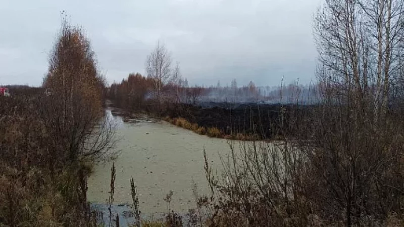 В Екатеринбурге проводится исследование воздуха из-за сильного смога