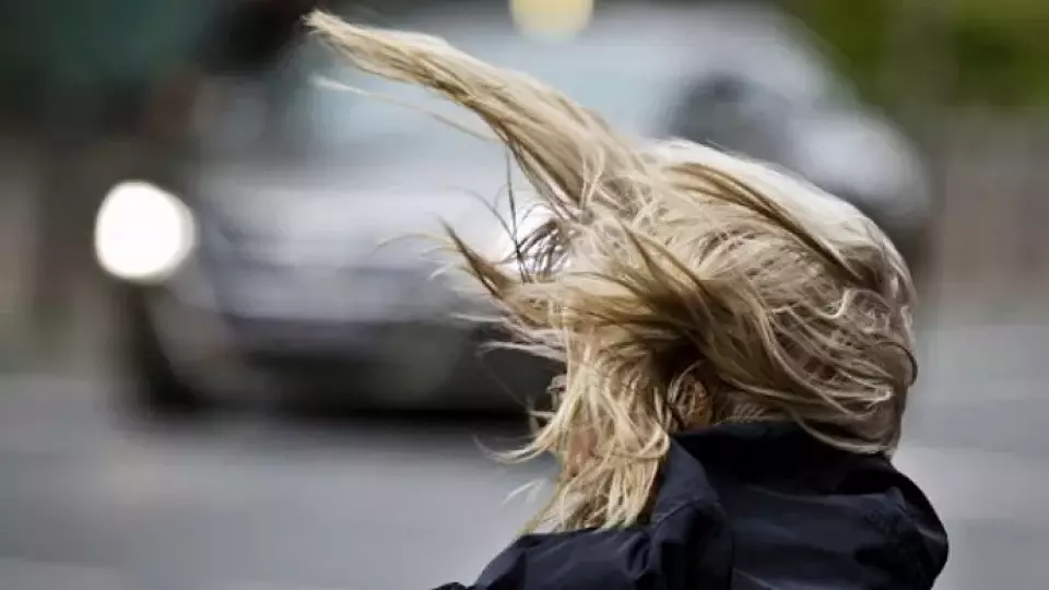 Будьте осторожны: на Среднем Урале 27 сентября ожидается сильный ветер