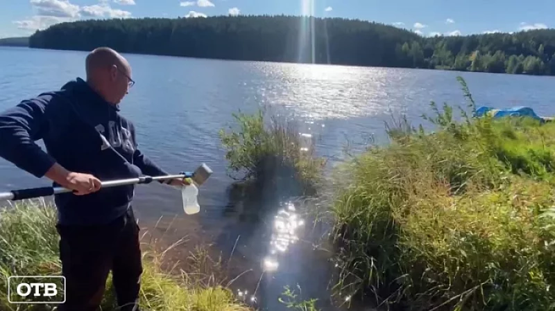 Озеро в Реже прекратили загрязнять отходами после прямой линии губернатора Куйвашева