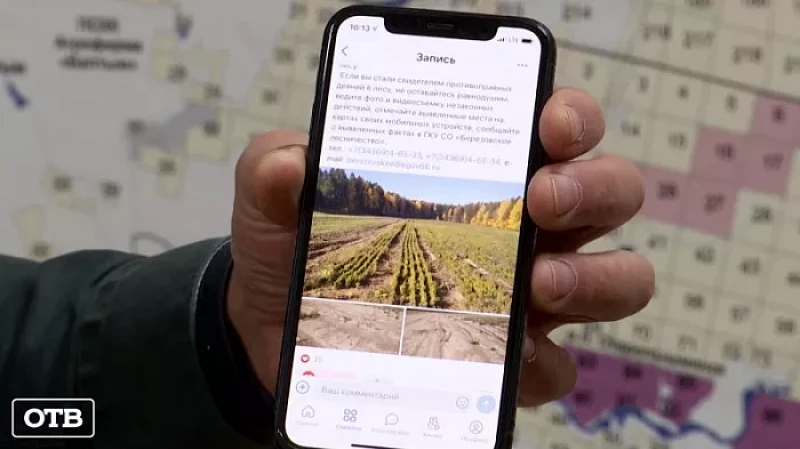 Дрифтеры уничтожили 36 тысяч растений Берёзовского лесничества