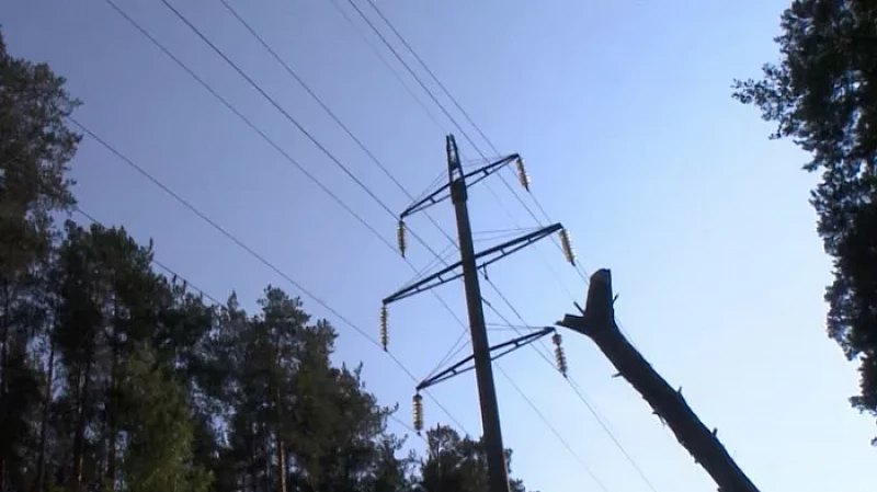 Из-за падения дерева без электричества остались несколько районов Екатеринбурга