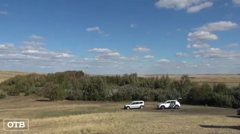 На Урале 10 десять краснокнижных соколов отправились в дикую природу