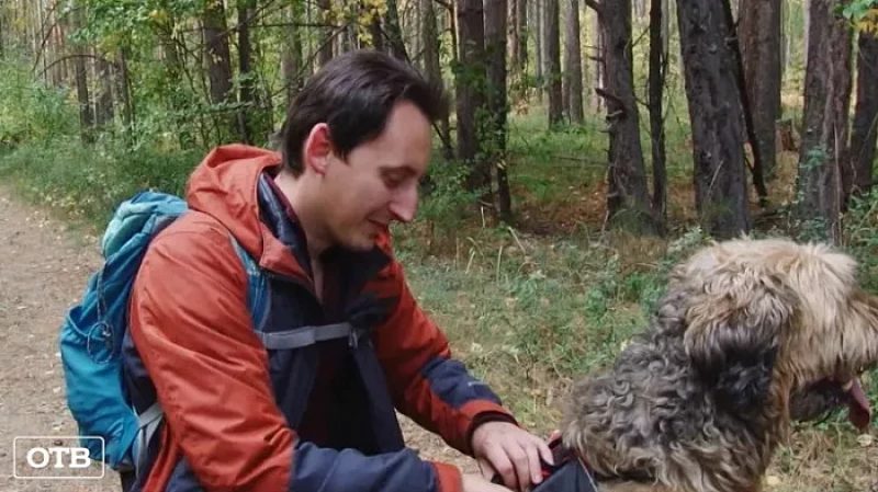 В традиционной прогулке «Бажовская верста» поучаствовали более 3 тыс. уральцев